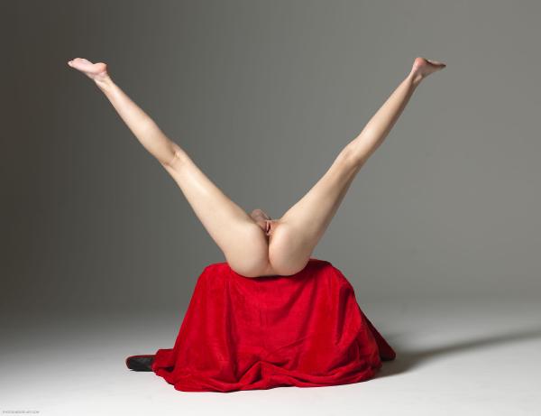 Bild #4 aus der Galerie Ally rot