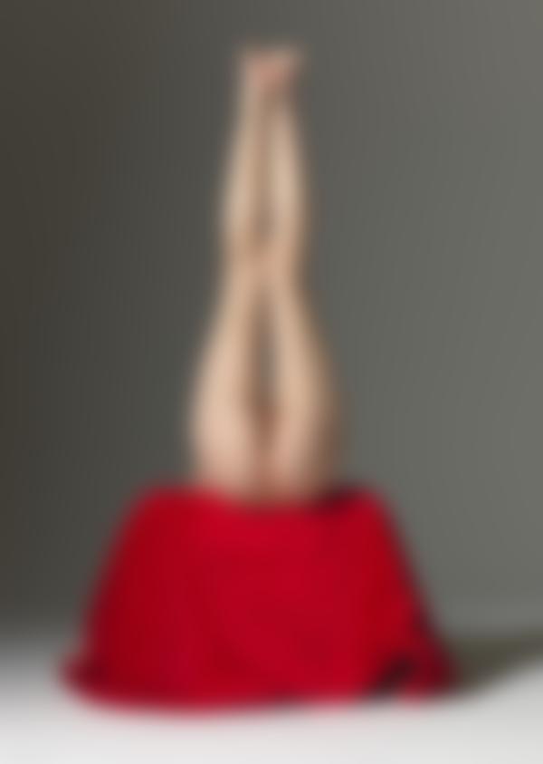 Bild #8 aus der Galerie Ally rot