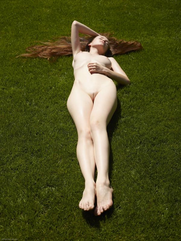 Image n° 4 de la galerie Emily jardin secret