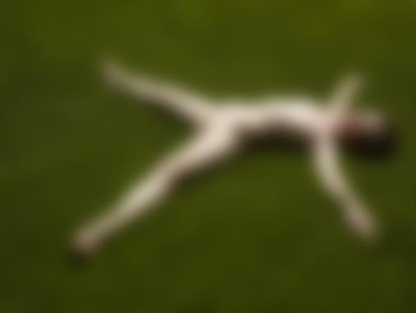 Image n° 8 de la galerie Emily jardin secret