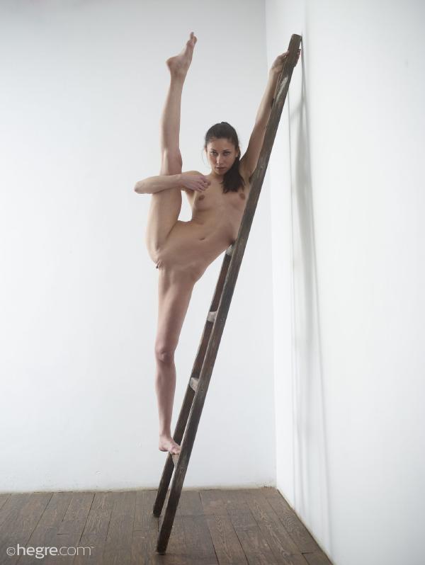 Image #7 from the gallery Eva ladder