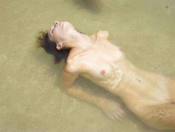 Resim # 1 galeriden Flora kıyıları