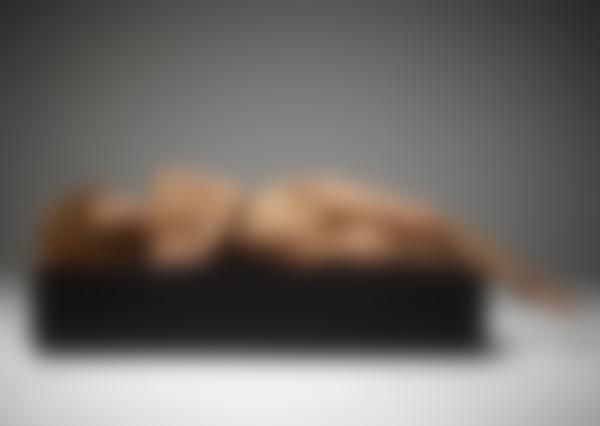 Vaizdas #8 iš galerijos Julija strazdanų fantazija