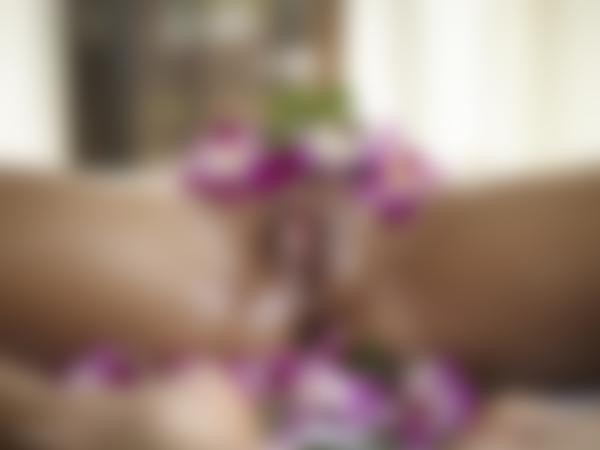 Resim # 9 galeriden İğne çiçekleri ve cinsel organlar