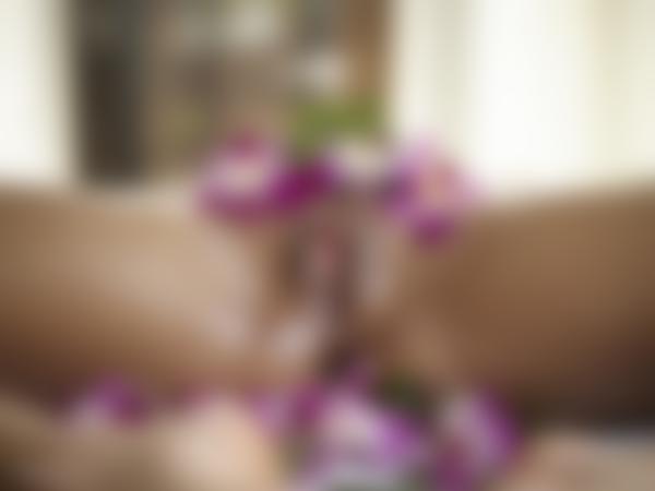 Resim # 11 galeriden İğne çiçekleri ve cinsel organlar