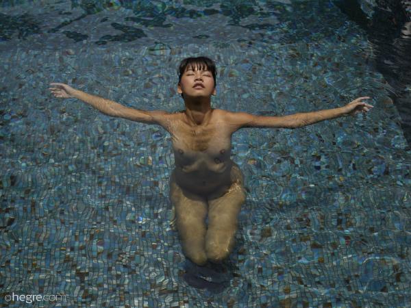 图片 #1 来自画廊 品泰布什