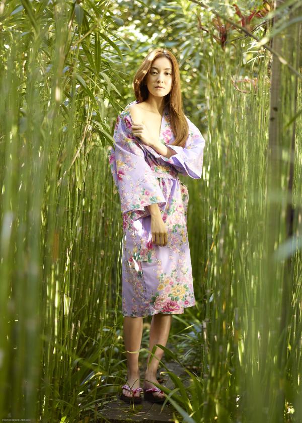 Vaizdas #6 iš galerijos Saki japoniškas sodas